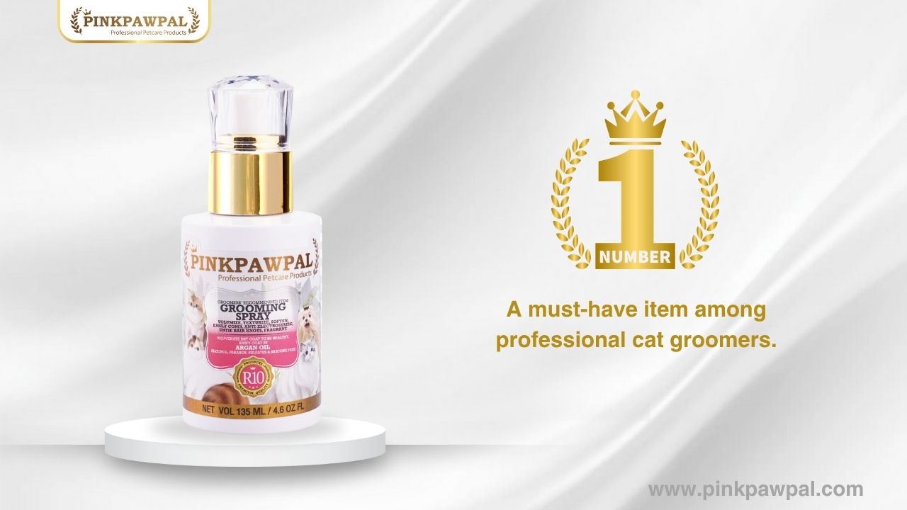 Images/Blog/PYkXKZ8U-รูปปก website.jpg